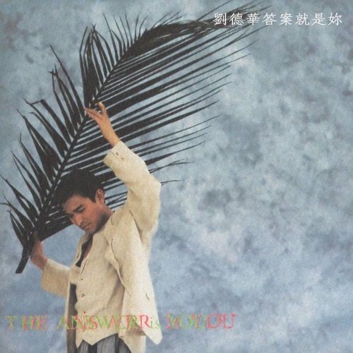 刘德华 答案就是你 Album Art Cover