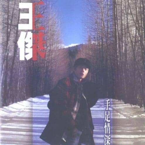 王杰 手足情深