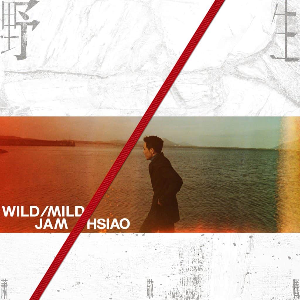 萧敬腾 野生 Album Art Cover
