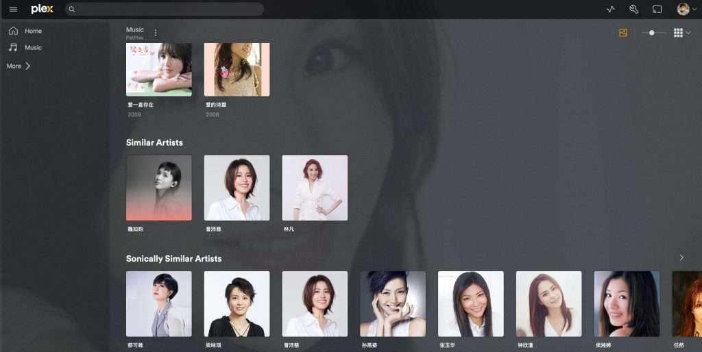 Similar Artists in Plex