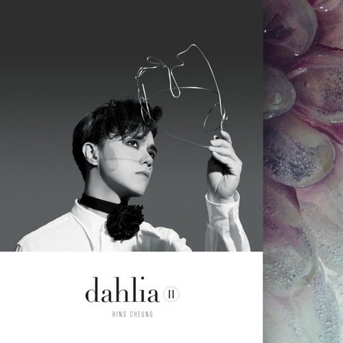 张敬轩 Dahlia II Album Art Cover