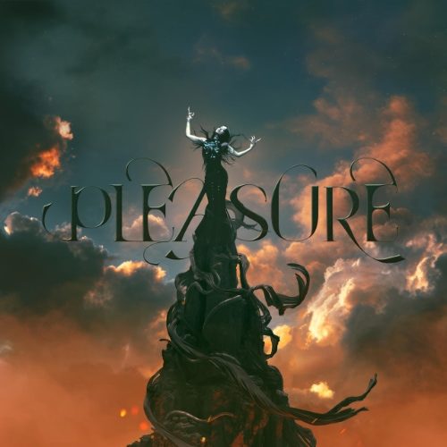 蔡依林 Pleasure iphone album art cover