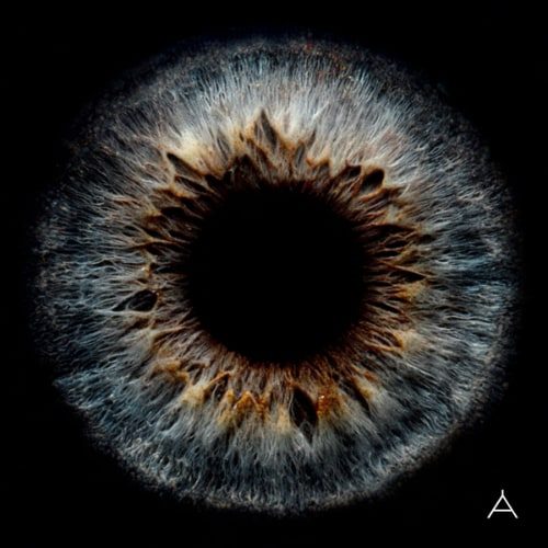 [2025-07-29] 林宥嘉 Apples of Thy Eye Album Art Cover