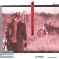 林良乐 风中的流浪汉