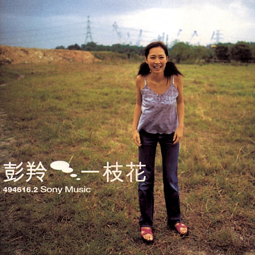 彭羚 一枝花 Album Art Cover