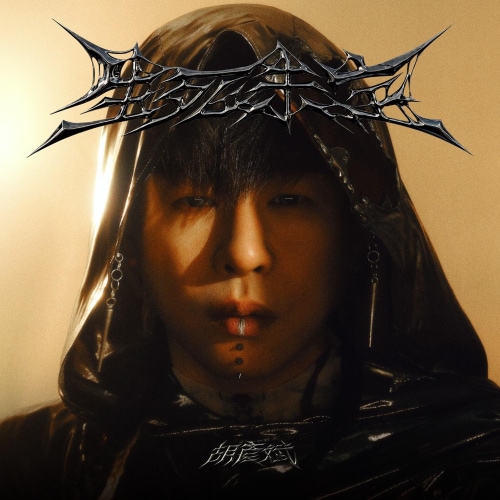 胡彦斌 生死未定 album art