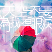 陶晶莹 天空不要为我掉眼泪 Album Art Cover