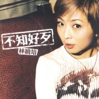 林晓培 不知好歹 Album Art Cover