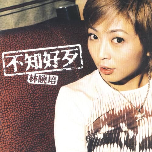 林晓培 不知好歹 Album Art Cover